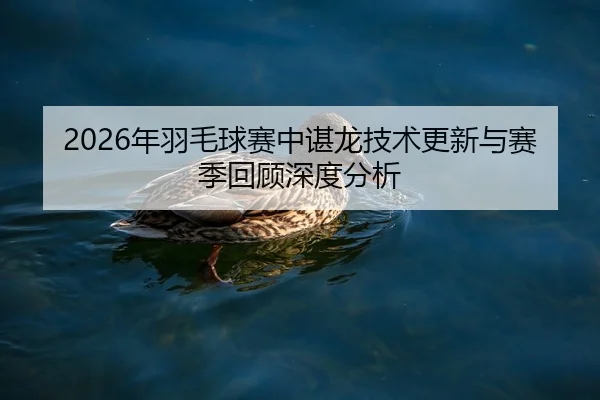 nian-yu-mao-qiu-sai-zhong-chen-long-ji-shu-geng-xin-yu-sai-ji-hui-gu-shen-du-fen-xi-2-216.jpg